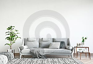 Mock up wall in bright interior design, gray sofa, plant and carpet in modern living room, empty wall
