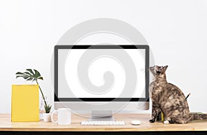 Mockup Blank screen desktop computer and decorations with cat animal on wood table and white wall background