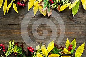 Mockup with bright autumn leaves and berries. Yellow and green leaves, red berries on wooden background top view copy