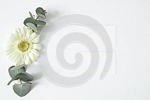 Mockup business card with eucalyptus and gerbera leaves on the white background