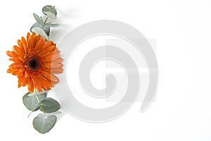 Mockup business card with eucalyptus and gerbera leaves on the white background