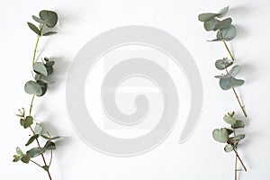 Mockup business card with eucalyptus leaves