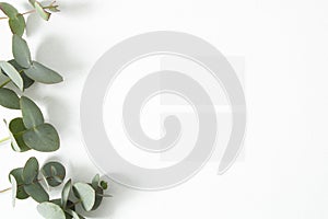 Mockup business card with eucalyptus leaves