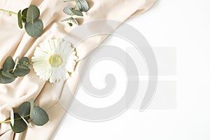 Mockup business card with eucalyptus leaves, gerbera and nude fabric