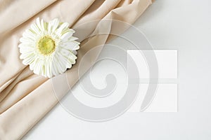 Mockup business card with gerbera leaves on the white background