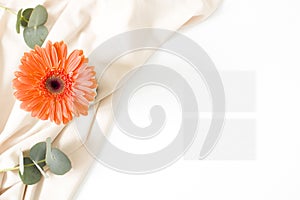 Mockup business card with gerbera leaves on the white background