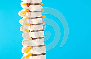Mockup of the cervical spine on a blue background. The concept of health and treatment of spinal diseases photo