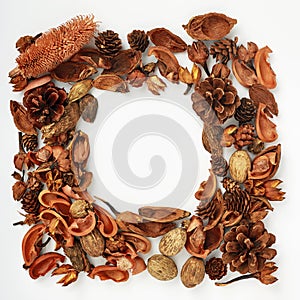 Mockup Decorative frame from a forest of dried flowers and pine cones, the forest template with space for text. Autumn collage