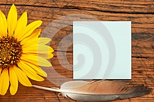 mockup with empty memo sticker for writing message on grunge wooden background. pen and sunflower flower near reminder