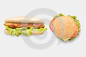 Mockup hot dogs and hamburgers set isolated on white background.