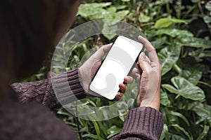 Mockup image of closeup woman hand holding mobile phone with blank white smartphone screen at the outdoor.