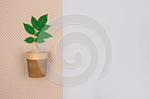 Mockup image of eco-friendly coffee to go cup - kraft paper cup with green leaves above on light gray background with copyspace.