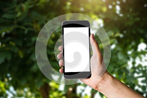 Mockup image of hand holding white mobile phone with blank white green nature.