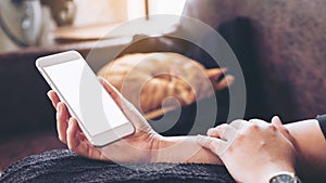 Mockup image of a woman`s hand holding white mobile phone with blank screen and a sleeping brown cat i