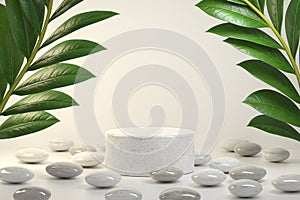 Mockup Luxury Minimal Platform For Show Natural Product With Plant And Pebble Stone Abstract Background 3d Render