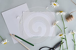 Mockup of paper, daisies