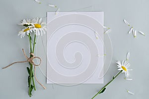 Mockup of paper, daisies