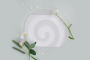 Mockup of paper, daisies