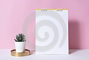 Mockup paper spiral calendar with cactus on pink background