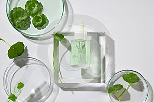 Mockup for product extracted from Gotu kola (Centella asiatica)