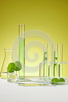 Mockup for product extracted from Gotu kola (Centella asiatica)