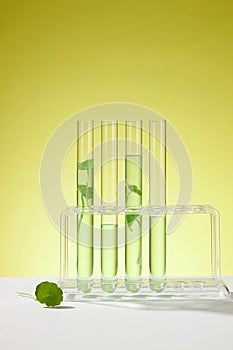 Mockup for product extracted from Gotu kola (Centella asiatica