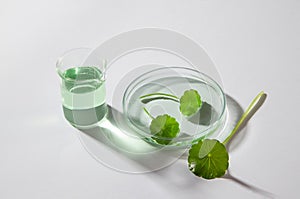 Mockup for product extracted from Gotu kola (Centella asiatica