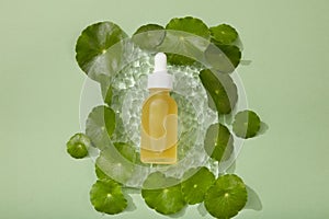 Mockup of skin care cosmetic of Gotu kola (Centella asiatica) extract