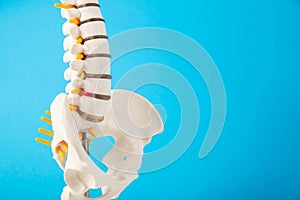 Mockup of the spine on a blue background. The concept of diseases and treatment of the spine in medicine. Back pain photo