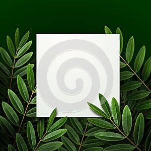 Mockup white paper with  green leaves background