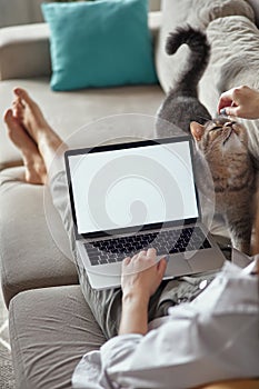 Mockup white screen laptop woman using computer and pet cat lying on sofa at home, back view, focus on screen