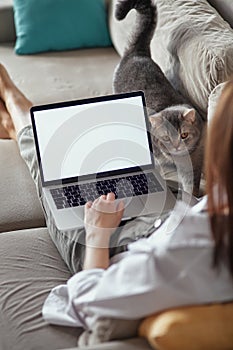 Mockup white screen laptop woman using computer and pet cat lying on sofa at home, back view, focus on screen