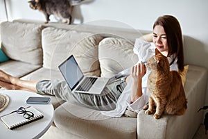 Mockup white screen laptop woman using computer and two pet cat lying on sofa at home