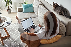 Mockup white screen laptop woman using computer and two pet cat lying on sofa at home, back view, focus on screen