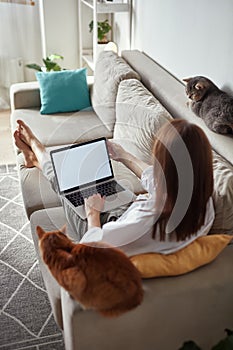 Mockup white screen laptop woman using computer and two pet cat lying on sofa at home, back view, focus on screen