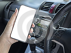 Mockup of woman driver hand using blank white screen mobile smart phone inside a car