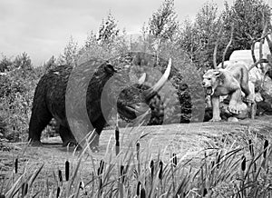 Model of ancient Wooly Rhinoceros.