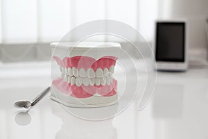 Model of artificial jaw on the table in the dental office