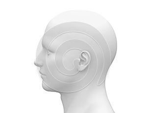 Blank White Male Head - Side view