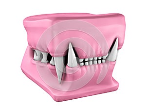 Model of cat teeth cast.