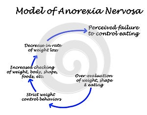 Development of Anorexia Nervosa photo