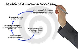 Development of Anorexia Nervosa photo