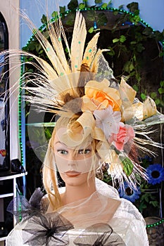 Model of a hairdress photo