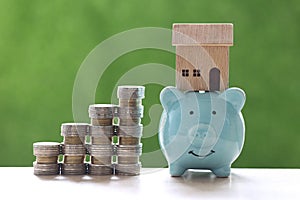 Model house on piggy bank with stack of coins money on nature green background  Saving money for new home concept