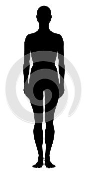 Model of the human body. Hand drawn gender-neutral figure. Silhouette, front view.
