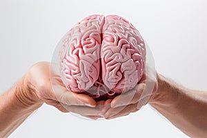 Model human brain displayed in a hand, isolated on white