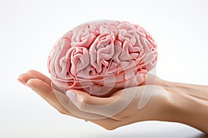 Model human brain displayed in a hand, isolated on white
