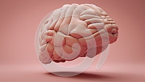Model of human brain floating over pink studio background. Concept of creativity, intelligence, innovation and