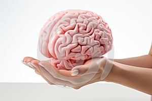 Model human brain held in hand, isolated on a white surface