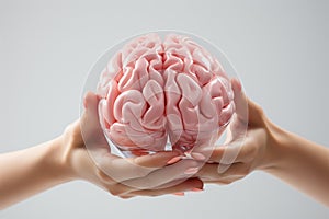 Model human brain held in hand, isolated on a white surface